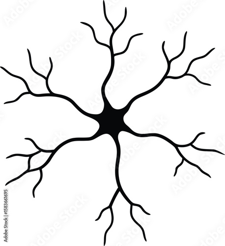 Neuron Cell Structure Vector with Dendrites and Synapses