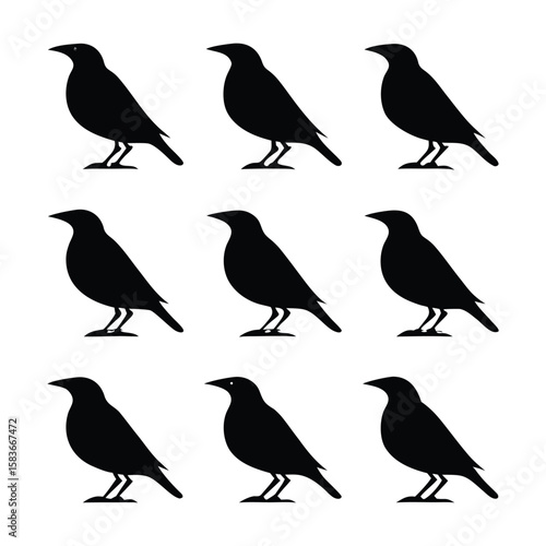 Myna Full Body Silhouette Bundle