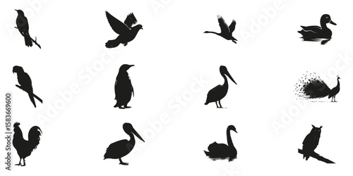 Bird Silhouettes In Solid Icon Set. Avian Diversity And Wildlife Observation Symbol Collection. Ornithological And Educational Use. Isolated Vector Illustration