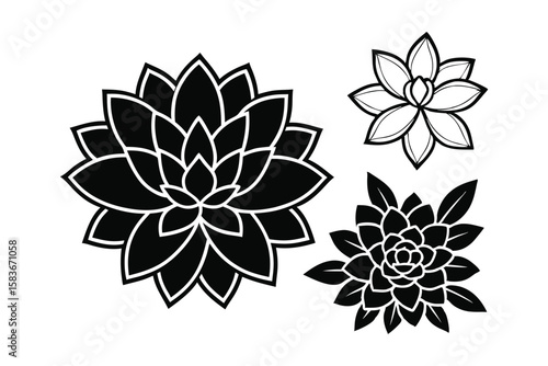 Three stylized black and white succulent plant silhouettes