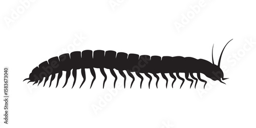 Detailed Centipede Insect Silhouette Design for Nature and Entomology Enthusiasts