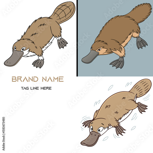 platypus vector set 