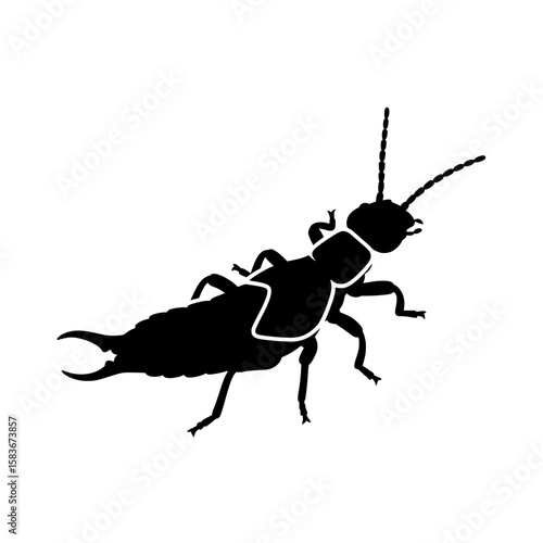 Earwig insect silhouette vector graphic. Isolated pincer bug illustration for entomology or pest control design., silhouette