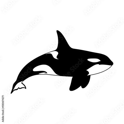 Orca killer whale silhouette vector illustration. Marine mammal graphic icon isolated on white background., silhouette
