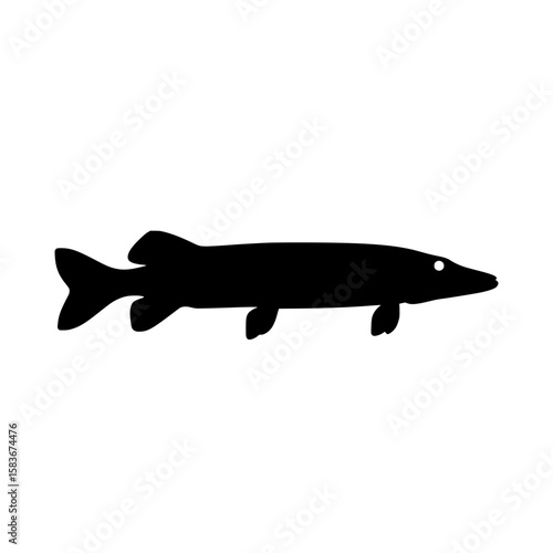Simple black silhouette of a northern pike fish. Vector graphic icon of a predatory esox lucius animal, silhouette