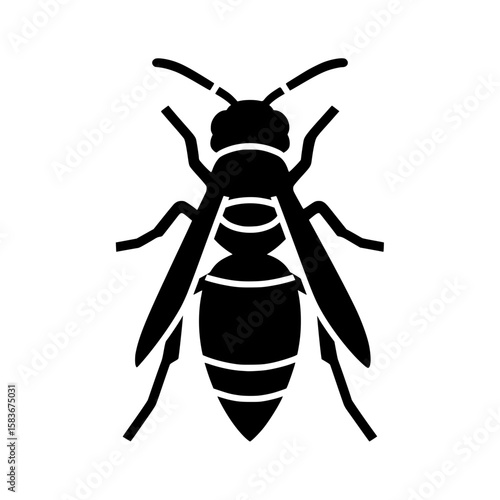 Wasp silhouette vector icon. Top view of a hornet insect with stripes. Glyph illustration for entomology, silhouette