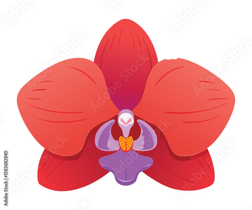 Passionate Coral Orchid Flower Botanical Illustration