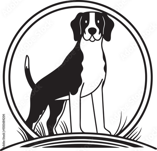 beagle dog portrait