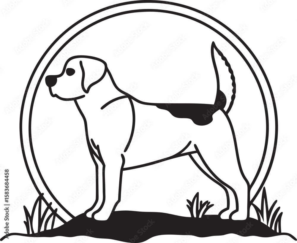 Fototapeta premium dog on the grass