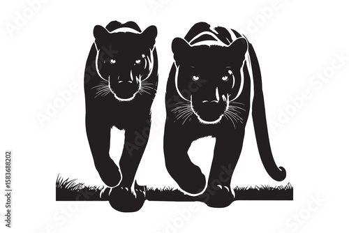 Powerful Black Panther Silhouettes Facing Forward