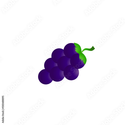 vector illustration of fresh ripe grapes  