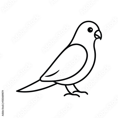 A lovebird bird line art vector illustration.