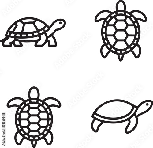 Set of Tortoise Outline vector illustration isolated On Transparent Background