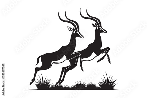 Silhouette of Two Springbok Gazelles in a Running Pose.