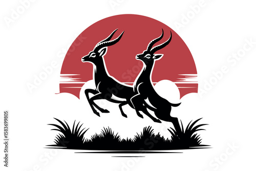 Two Springboks in Silhouette Leap at Sunrise