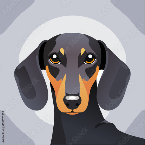 Portrait of a dachshund showing its sweet face and long ears