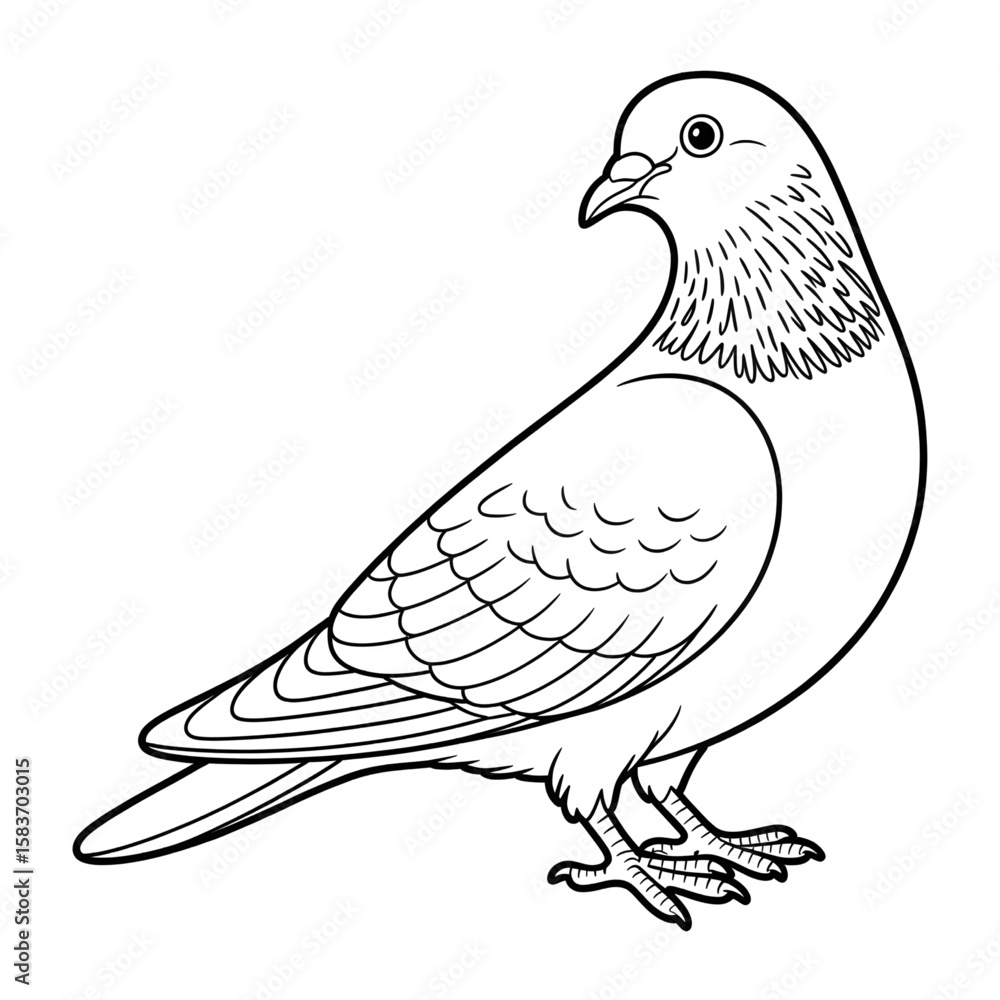 Fototapeta premium Illustration vector of a pigeon coloring page