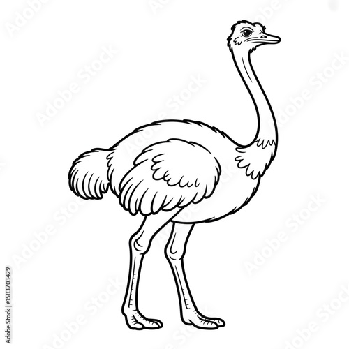 A beautiful line drawing of a ostrich coloring page design