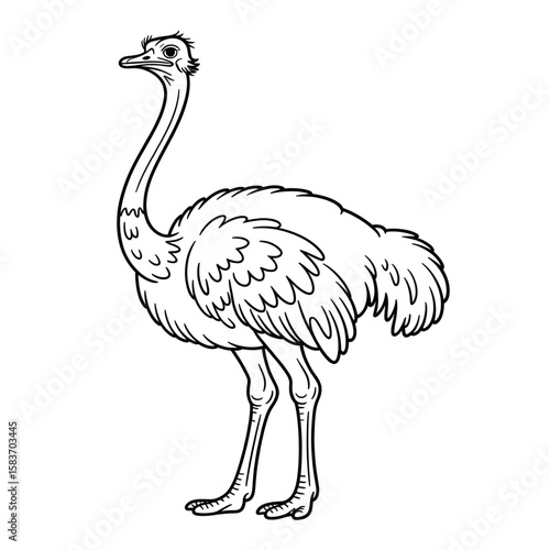 Illustration vector of a ostrich coloring page