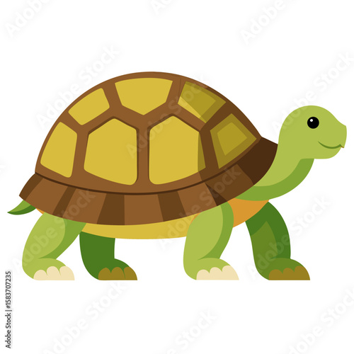 Cute cartoon tortoise with a patterned shell walking isolated on white background
