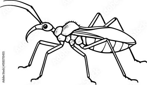 Line art vector of assassin bug in side view with sharp curved beak, long legs, isolated on white