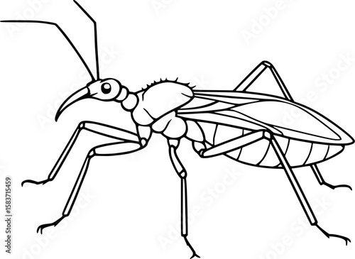 Line art vector of assassin bug in side view with sharp curved beak, long legs, isolated on white
