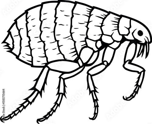 Line art vector of flea in jumping stance, side profile with rough shell texture, isolated on white