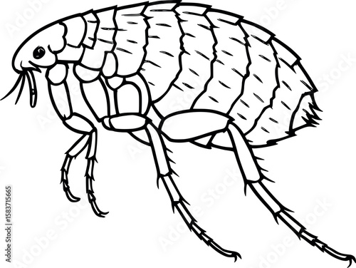 Line art vector of flea in jumping stance, side profile with rough shell texture, isolated on white
