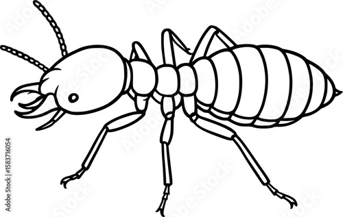 Line art vector of termite in crawling pose with segmented thorax and abdomen, isolated on white