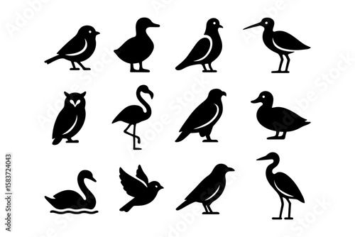 Silhouette bird collection: diverse avian shapes in minimalist design