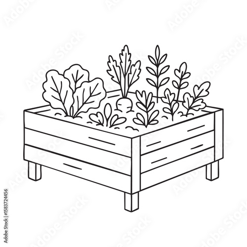 Hand Drawn Raised Garden Bed with Vegetables and Herbs in Black and White