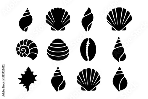 Silhouette collection of seashell designs in black and white