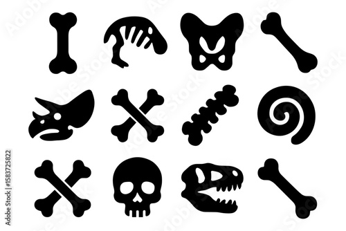 Dinosaur fossil icons collection: skull, bones, and skeleton illustrations