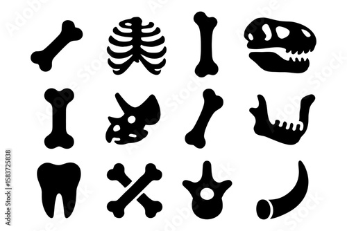 Silhouette dinosaur and human bones collection for educational use