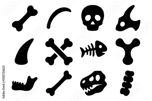 Silhouette of prehistoric and modern animal bones collection
