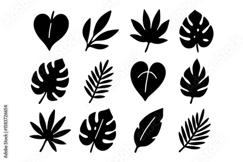 Silhouette collection of tropical leaf shapes for botanical designs