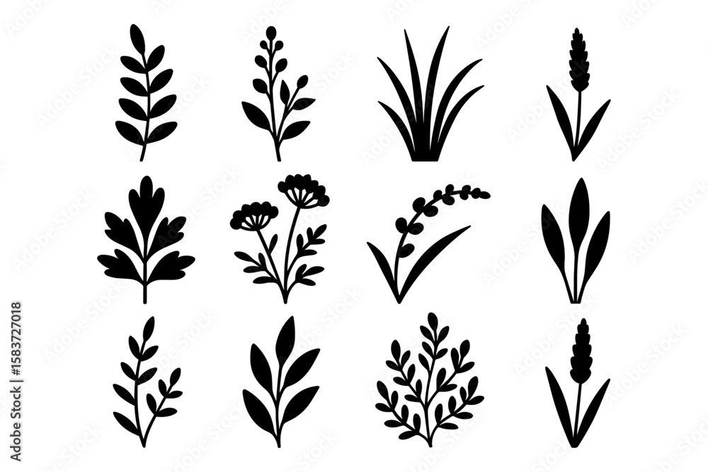 Fototapeta premium Nature-inspired silhouettes: diverse leaf and plant designs collection