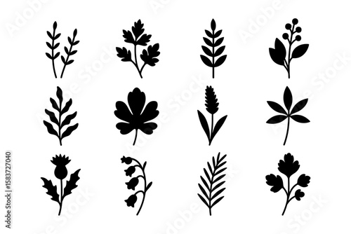 Collection of botanical silhouettes featuring various leaf and plant designs