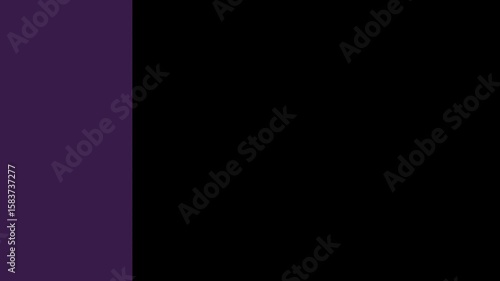 package  purple transition simple elegant motion graphic 4K for editing video premier pro or after effect	