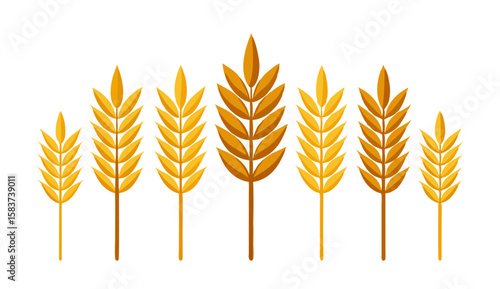 Wheat, barley, oats vector set