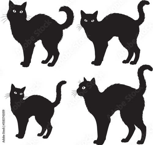 Halloween black cat spooky theme silhouette