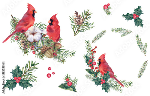 A set for Christmas and New Year made of cardinal birds, mistletoe berries, holly, fir branches and cones. A wreath of pine branches with a winter bird. Watercolor illustration hand painted