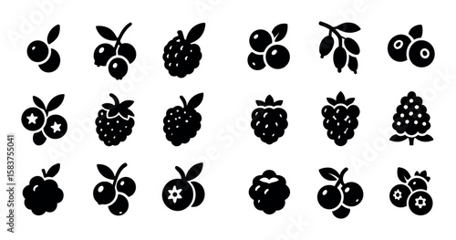 Berry Icon Grid