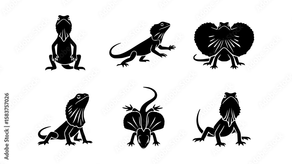 Naklejka premium A set of silhouettes of frilled neck lizards, each uniquely displayed and detailed