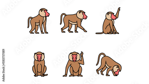 Collection of graphic Baboons in different poses. These baboons are the highlight of an eye-catching art