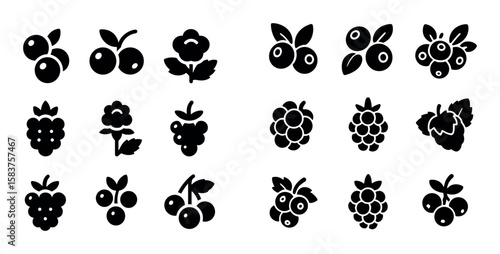 Wild Berry Icons