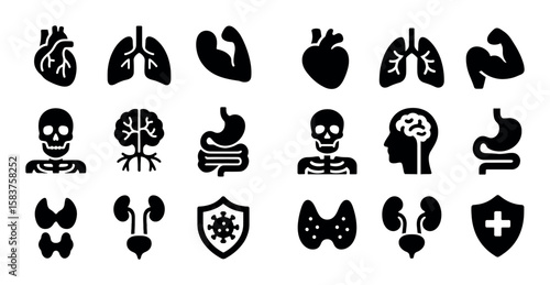 Body Systems Icons