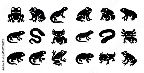 Amphibian Icon Set