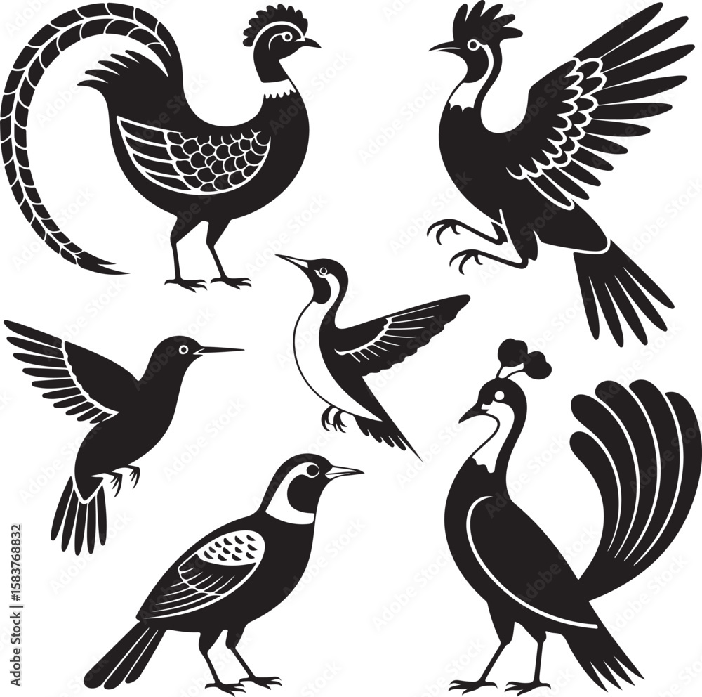 Fototapeta premium Diverse birds in black silhouette white background