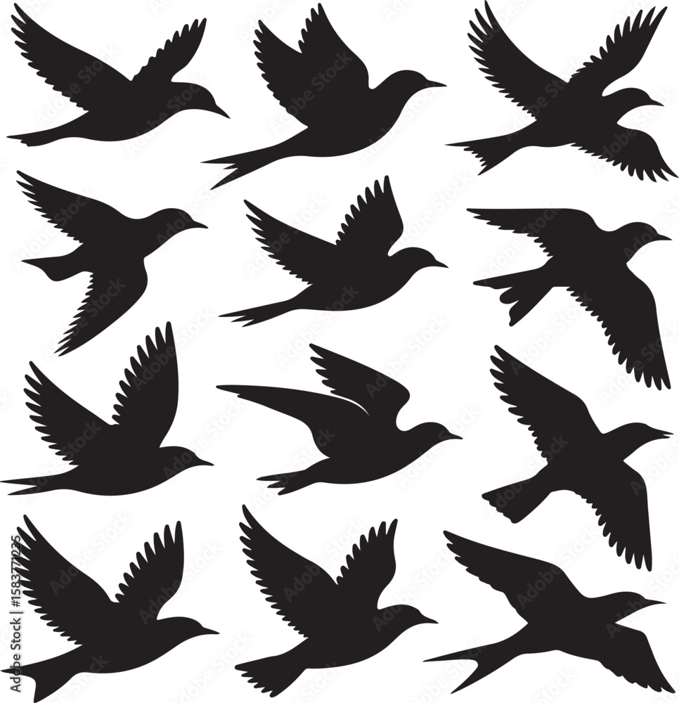 Fototapeta premium Black bird silhouettes in flight birds flying